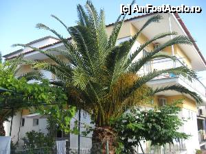 [P03] Vila Periklis Studios din Thassos » foto by dorgo
 - 
<span class="allrVoted glyphicon glyphicon-heart hidden" id="av442675"></span>
<a class="m-l-10 hidden" id="sv442675" onclick="voting_Foto_DelVot(,442675,6346)" role="button">șterge vot <span class="glyphicon glyphicon-remove"></span></a>
<a id="v9442675" class=" c-red"  onclick="voting_Foto_SetVot(442675)" role="button"><span class="glyphicon glyphicon-heart-empty"></span> <b>LIKE</b> = Votează poza</a> <img class="hidden"  id="f442675W9" src="/imagini/loader.gif" border="0" /><span class="AjErrMes hidden" id="e442675ErM"></span>