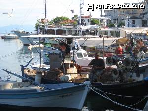 [P09] Vechiul port pescaresc din Limenas » foto by dorgo
 - 
<span class="allrVoted glyphicon glyphicon-heart hidden" id="av442681"></span>
<a class="m-l-10 hidden" id="sv442681" onclick="voting_Foto_DelVot(,442681,6346)" role="button">șterge vot <span class="glyphicon glyphicon-remove"></span></a>
<a id="v9442681" class=" c-red"  onclick="voting_Foto_SetVot(442681)" role="button"><span class="glyphicon glyphicon-heart-empty"></span> <b>LIKE</b> = Votează poza</a> <img class="hidden"  id="f442681W9" src="/imagini/loader.gif" border="0" /><span class="AjErrMes hidden" id="e442681ErM"></span>