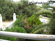 [P03] Imagine de pe balcon in gradina vilei » foto by flori_floricika
 - 
<span class="allrVoted glyphicon glyphicon-heart hidden" id="av96732"></span>
<a class="m-l-10 hidden" id="sv96732" onclick="voting_Foto_DelVot(,96732,6358)" role="button">șterge vot <span class="glyphicon glyphicon-remove"></span></a>
<a id="v996732" class=" c-red"  onclick="voting_Foto_SetVot(96732)" role="button"><span class="glyphicon glyphicon-heart-empty"></span> <b>LIKE</b> = Votează poza</a> <img class="hidden"  id="f96732W9" src="/imagini/loader.gif" border="0" /><span class="AjErrMes hidden" id="e96732ErM"></span>