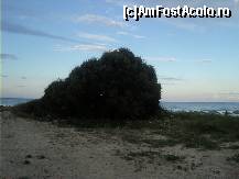 [P37]  -- <small>// FĂRĂ DESCRIERE</small> » foto by flori_floricika
 - 
<span class="allrVoted glyphicon glyphicon-heart hidden" id="av187491"></span>
<a class="m-l-10 hidden" id="sv187491" onclick="voting_Foto_DelVot(,187491,6358)" role="button">șterge vot <span class="glyphicon glyphicon-remove"></span></a>
<a id="v9187491" class=" c-red"  onclick="voting_Foto_SetVot(187491)" role="button"><span class="glyphicon glyphicon-heart-empty"></span> <b>LIKE</b> = Votează poza</a> <img class="hidden"  id="f187491W9" src="/imagini/loader.gif" border="0" /><span class="AjErrMes hidden" id="e187491ErM"></span>
