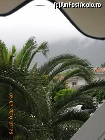 [P04]  -- <small>// FĂRĂ DESCRIERE</small> » foto by flori_floricika
 - 
<span class="allrVoted glyphicon glyphicon-heart hidden" id="av96735"></span>
<a class="m-l-10 hidden" id="sv96735" onclick="voting_Foto_DelVot(,96735,6358)" role="button">șterge vot <span class="glyphicon glyphicon-remove"></span></a>
<a id="v996735" class=" c-red"  onclick="voting_Foto_SetVot(96735)" role="button"><span class="glyphicon glyphicon-heart-empty"></span> <b>LIKE</b> = Votează poza</a> <img class="hidden"  id="f96735W9" src="/imagini/loader.gif" border="0" /><span class="AjErrMes hidden" id="e96735ErM"></span>