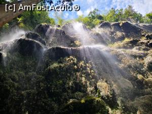 [P11]  -- <small>// FĂRĂ DESCRIERE</small> » foto by dan39
 - 
<span class="allrVoted glyphicon glyphicon-heart hidden" id="av1049692"></span>
<a class="m-l-10 hidden" id="sv1049692" onclick="voting_Foto_DelVot(,1049692,6389)" role="button">șterge vot <span class="glyphicon glyphicon-remove"></span></a>
<a id="v91049692" class=" c-red"  onclick="voting_Foto_SetVot(1049692)" role="button"><span class="glyphicon glyphicon-heart-empty"></span> <b>LIKE</b> = Votează poza</a> <img class="hidden"  id="f1049692W9" src="/imagini/loader.gif" border="0" /><span class="AjErrMes hidden" id="e1049692ErM"></span>