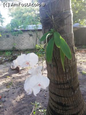 [P06]  -- <small>// FĂRĂ DESCRIERE</small> » foto by dan39
 - 
<span class="allrVoted glyphicon glyphicon-heart hidden" id="av1049682"></span>
<a class="m-l-10 hidden" id="sv1049682" onclick="voting_Foto_DelVot(,1049682,6389)" role="button">șterge vot <span class="glyphicon glyphicon-remove"></span></a>
<a id="v91049682" class=" c-red"  onclick="voting_Foto_SetVot(1049682)" role="button"><span class="glyphicon glyphicon-heart-empty"></span> <b>LIKE</b> = Votează poza</a> <img class="hidden"  id="f1049682W9" src="/imagini/loader.gif" border="0" /><span class="AjErrMes hidden" id="e1049682ErM"></span>