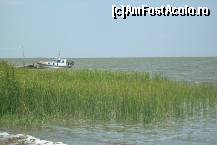 [P04] lacul Sinoe,la 5 km de pensiune » foto by Andree
 - 
<span class="allrVoted glyphicon glyphicon-heart hidden" id="av105066"></span>
<a class="m-l-10 hidden" id="sv105066" onclick="voting_Foto_DelVot(,105066,6395)" role="button">șterge vot <span class="glyphicon glyphicon-remove"></span></a>
<a id="v9105066" class=" c-red"  onclick="voting_Foto_SetVot(105066)" role="button"><span class="glyphicon glyphicon-heart-empty"></span> <b>LIKE</b> = Votează poza</a> <img class="hidden"  id="f105066W9" src="/imagini/loader.gif" border="0" /><span class="AjErrMes hidden" id="e105066ErM"></span>