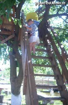 [P08] vizita la casuta din copac : )) » foto by Andree
 - 
<span class="allrVoted glyphicon glyphicon-heart hidden" id="av105421"></span>
<a class="m-l-10 hidden" id="sv105421" onclick="voting_Foto_DelVot(,105421,6395)" role="button">șterge vot <span class="glyphicon glyphicon-remove"></span></a>
<a id="v9105421" class=" c-red"  onclick="voting_Foto_SetVot(105421)" role="button"><span class="glyphicon glyphicon-heart-empty"></span> <b>LIKE</b> = Votează poza</a> <img class="hidden"  id="f105421W9" src="/imagini/loader.gif" border="0" /><span class="AjErrMes hidden" id="e105421ErM"></span>
