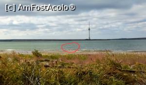 [P01] Flamingo roz/Eforie S. ... lac Techirghiol » foto by naturiști
 - 
<span class="allrVoted glyphicon glyphicon-heart hidden" id="av1548363"></span>
<a class="m-l-10 hidden" id="sv1548363" onclick="voting_Foto_DelVot(,1548363,6514)" role="button">șterge vot <span class="glyphicon glyphicon-remove"></span></a>
<a id="v91548363" class=" c-red"  onclick="voting_Foto_SetVot(1548363)" role="button"><span class="glyphicon glyphicon-heart-empty"></span> <b>LIKE</b> = Votează poza</a> <img class="hidden"  id="f1548363W9" src="/imagini/loader.gif" border="0" /><span class="AjErrMes hidden" id="e1548363ErM"></span>