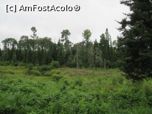 [P18] in locul lacului au ramas mici baltoace » foto by MAnd
 - 
<span class="allrVoted glyphicon glyphicon-heart hidden" id="av786112"></span>
<a class="m-l-10 hidden" id="sv786112" onclick="voting_Foto_DelVot(,786112,6590)" role="button">șterge vot <span class="glyphicon glyphicon-remove"></span></a>
<a id="v9786112" class=" c-red"  onclick="voting_Foto_SetVot(786112)" role="button"><span class="glyphicon glyphicon-heart-empty"></span> <b>LIKE</b> = Votează poza</a> <img class="hidden"  id="f786112W9" src="/imagini/loader.gif" border="0" /><span class="AjErrMes hidden" id="e786112ErM"></span>