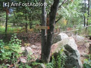 [P13] poteca amenajata spre far » foto by MAnd
 - 
<span class="allrVoted glyphicon glyphicon-heart hidden" id="av786377"></span>
<a class="m-l-10 hidden" id="sv786377" onclick="voting_Foto_DelVot(,786377,6590)" role="button">șterge vot <span class="glyphicon glyphicon-remove"></span></a>
<a id="v9786377" class=" c-red"  onclick="voting_Foto_SetVot(786377)" role="button"><span class="glyphicon glyphicon-heart-empty"></span> <b>LIKE</b> = Votează poza</a> <img class="hidden"  id="f786377W9" src="/imagini/loader.gif" border="0" /><span class="AjErrMes hidden" id="e786377ErM"></span>