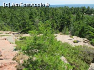 [P19] de aici se vede si farul. Jos pe piatra sunt tufe de ienupar.  » foto by MAnd
 - 
<span class="allrVoted glyphicon glyphicon-heart hidden" id="av786386"></span>
<a class="m-l-10 hidden" id="sv786386" onclick="voting_Foto_DelVot(,786386,6590)" role="button">șterge vot <span class="glyphicon glyphicon-remove"></span></a>
<a id="v9786386" class=" c-red"  onclick="voting_Foto_SetVot(786386)" role="button"><span class="glyphicon glyphicon-heart-empty"></span> <b>LIKE</b> = Votează poza</a> <img class="hidden"  id="f786386W9" src="/imagini/loader.gif" border="0" /><span class="AjErrMes hidden" id="e786386ErM"></span>