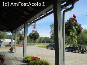 [P26] stand pe terasa am putut sa vad o pasare colibri care a venit la nectar » foto by MAnd
 - 
<span class="allrVoted glyphicon glyphicon-heart hidden" id="av786407"></span>
<a class="m-l-10 hidden" id="sv786407" onclick="voting_Foto_DelVot(,786407,6590)" role="button">șterge vot <span class="glyphicon glyphicon-remove"></span></a>
<a id="v9786407" class=" c-red"  onclick="voting_Foto_SetVot(786407)" role="button"><span class="glyphicon glyphicon-heart-empty"></span> <b>LIKE</b> = Votează poza</a> <img class="hidden"  id="f786407W9" src="/imagini/loader.gif" border="0" /><span class="AjErrMes hidden" id="e786407ErM"></span>