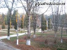 [P01] Vedere spre parc » foto by monicutza
 - 
<span class="allrVoted glyphicon glyphicon-heart hidden" id="av104628"></span>
<a class="m-l-10 hidden" id="sv104628" onclick="voting_Foto_DelVot(,104628,6609)" role="button">șterge vot <span class="glyphicon glyphicon-remove"></span></a>
<a id="v9104628" class=" c-red"  onclick="voting_Foto_SetVot(104628)" role="button"><span class="glyphicon glyphicon-heart-empty"></span> <b>LIKE</b> = Votează poza</a> <img class="hidden"  id="f104628W9" src="/imagini/loader.gif" border="0" /><span class="AjErrMes hidden" id="e104628ErM"></span>