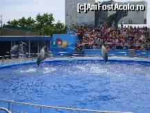 [P19] La spectacolul delfinilor este destul de aglomerat...asa ca trebuie avut grija sa nu ramaneti pe afara... » foto by vali_tulcea
 - 
<span class="allrVoted glyphicon glyphicon-heart hidden" id="av106991"></span>
<a class="m-l-10 hidden" id="sv106991" onclick="voting_Foto_DelVot(,106991,6619)" role="button">șterge vot <span class="glyphicon glyphicon-remove"></span></a>
<a id="v9106991" class=" c-red"  onclick="voting_Foto_SetVot(106991)" role="button"><span class="glyphicon glyphicon-heart-empty"></span> <b>LIKE</b> = Votează poza</a> <img class="hidden"  id="f106991W9" src="/imagini/loader.gif" border="0" /><span class="AjErrMes hidden" id="e106991ErM"></span>