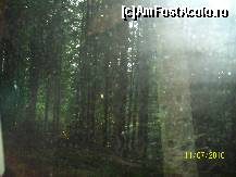 [P03] Drumul prin padure.Cat cuprinde numai brad si molid. » foto by alinutzza140*
 - 
<span class="allrVoted glyphicon glyphicon-heart hidden" id="av105547"></span>
<a class="m-l-10 hidden" id="sv105547" onclick="voting_Foto_DelVot(,105547,6636)" role="button">șterge vot <span class="glyphicon glyphicon-remove"></span></a>
<a id="v9105547" class=" c-red"  onclick="voting_Foto_SetVot(105547)" role="button"><span class="glyphicon glyphicon-heart-empty"></span> <b>LIKE</b> = Votează poza</a> <img class="hidden"  id="f105547W9" src="/imagini/loader.gif" border="0" /><span class="AjErrMes hidden" id="e105547ErM"></span>