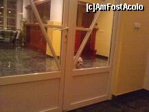 [P01] Receptia, vazuta din restaurant, precum si animalutul - mereu prezent. » foto by LaraCroft
 - 
<span class="allrVoted glyphicon glyphicon-heart hidden" id="av237082"></span>
<a class="m-l-10 hidden" id="sv237082" onclick="voting_Foto_DelVot(,237082,6667)" role="button">șterge vot <span class="glyphicon glyphicon-remove"></span></a>
<a id="v9237082" class=" c-red"  onclick="voting_Foto_SetVot(237082)" role="button"><span class="glyphicon glyphicon-heart-empty"></span> <b>LIKE</b> = Votează poza</a> <img class="hidden"  id="f237082W9" src="/imagini/loader.gif" border="0" /><span class="AjErrMes hidden" id="e237082ErM"></span>