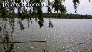 [P20] Admirăm puțin lacul Ciuperca din Tulcea.  » foto by Floryn81
 - 
<span class="allrVoted glyphicon glyphicon-heart hidden" id="av732548"></span>
<a class="m-l-10 hidden" id="sv732548" onclick="voting_Foto_DelVot(,732548,6669)" role="button">șterge vot <span class="glyphicon glyphicon-remove"></span></a>
<a id="v9732548" class=" c-red"  onclick="voting_Foto_SetVot(732548)" role="button"><span class="glyphicon glyphicon-heart-empty"></span> <b>LIKE</b> = Votează poza</a> <img class="hidden"  id="f732548W9" src="/imagini/loader.gif" border="0" /><span class="AjErrMes hidden" id="e732548ErM"></span>