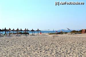 [P25] Catre plaja, dimineata. In dreapta o plaja neamenajata, sursa de pretioase cochilii.  » foto by DoreD
 - 
<span class="allrVoted glyphicon glyphicon-heart hidden" id="av373117"></span>
<a class="m-l-10 hidden" id="sv373117" onclick="voting_Foto_DelVot(,373117,6673)" role="button">șterge vot <span class="glyphicon glyphicon-remove"></span></a>
<a id="v9373117" class=" c-red"  onclick="voting_Foto_SetVot(373117)" role="button"><span class="glyphicon glyphicon-heart-empty"></span> <b>LIKE</b> = Votează poza</a> <img class="hidden"  id="f373117W9" src="/imagini/loader.gif" border="0" /><span class="AjErrMes hidden" id="e373117ErM"></span>