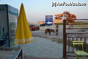 [P08] Phoenicia Holiday Resort - amicu' meu, aș zice - un măgar - da e doar un ponei » foto by DoreD
 - 
<span class="allrVoted glyphicon glyphicon-heart hidden" id="av454135"></span>
<a class="m-l-10 hidden" id="sv454135" onclick="voting_Foto_DelVot(,454135,6673)" role="button">șterge vot <span class="glyphicon glyphicon-remove"></span></a>
<a id="v9454135" class=" c-red"  onclick="voting_Foto_SetVot(454135)" role="button"><span class="glyphicon glyphicon-heart-empty"></span> <b>LIKE</b> = Votează poza</a> <img class="hidden"  id="f454135W9" src="/imagini/loader.gif" border="0" /><span class="AjErrMes hidden" id="e454135ErM"></span>