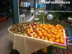 [P05] Parte din fructele de la terasa orientala » foto by Ellis
 - 
<span class="allrVoted glyphicon glyphicon-heart hidden" id="av633868"></span>
<a class="m-l-10 hidden" id="sv633868" onclick="voting_Foto_DelVot(,633868,6673)" role="button">șterge vot <span class="glyphicon glyphicon-remove"></span></a>
<a id="v9633868" class=" c-red"  onclick="voting_Foto_SetVot(633868)" role="button"><span class="glyphicon glyphicon-heart-empty"></span> <b>LIKE</b> = Votează poza</a> <img class="hidden"  id="f633868W9" src="/imagini/loader.gif" border="0" /><span class="AjErrMes hidden" id="e633868ErM"></span>