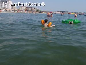 [P02]  -- <small>// FĂRĂ DESCRIERE</small> » foto by ovis2009
 - 
<span class="allrVoted glyphicon glyphicon-heart hidden" id="av983080"></span>
<a class="m-l-10 hidden" id="sv983080" onclick="voting_Foto_DelVot(,983080,6673)" role="button">șterge vot <span class="glyphicon glyphicon-remove"></span></a>
<a id="v9983080" class=" c-red"  onclick="voting_Foto_SetVot(983080)" role="button"><span class="glyphicon glyphicon-heart-empty"></span> <b>LIKE</b> = Votează poza</a> <img class="hidden"  id="f983080W9" src="/imagini/loader.gif" border="0" /><span class="AjErrMes hidden" id="e983080ErM"></span>