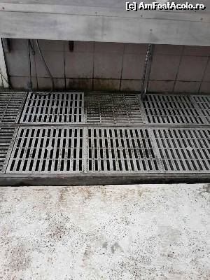 [P17] Asa arata spatiul de spalat pe picioare, de nisip din fata hotelului.  » foto by Adelina Lucica
 - 
<span class="allrVoted glyphicon glyphicon-heart hidden" id="av554588"></span>
<a class="m-l-10 hidden" id="sv554588" onclick="voting_Foto_DelVot(,554588,6673)" role="button">șterge vot <span class="glyphicon glyphicon-remove"></span></a>
<a id="v9554588" class=" c-red"  onclick="voting_Foto_SetVot(554588)" role="button"><span class="glyphicon glyphicon-heart-empty"></span> <b>LIKE</b> = Votează poza</a> <img class="hidden"  id="f554588W9" src="/imagini/loader.gif" border="0" /><span class="AjErrMes hidden" id="e554588ErM"></span>