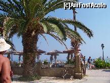 [P05] pe faleza din kallithea » foto by timideea
 - 
<span class="allrVoted glyphicon glyphicon-heart hidden" id="av258609"></span>
<a class="m-l-10 hidden" id="sv258609" onclick="voting_Foto_DelVot(,258609,6707)" role="button">șterge vot <span class="glyphicon glyphicon-remove"></span></a>
<a id="v9258609" class=" c-red"  onclick="voting_Foto_SetVot(258609)" role="button"><span class="glyphicon glyphicon-heart-empty"></span> <b>LIKE</b> = Votează poza</a> <img class="hidden"  id="f258609W9" src="/imagini/loader.gif" border="0" /><span class="AjErrMes hidden" id="e258609ErM"></span>