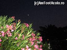[P03] Peisaj noaptea, vazut in parc » foto by EmaCojocaru
 - 
<span class="allrVoted glyphicon glyphicon-heart hidden" id="av348298"></span>
<a class="m-l-10 hidden" id="sv348298" onclick="voting_Foto_DelVot(,348298,6707)" role="button">șterge vot <span class="glyphicon glyphicon-remove"></span></a>
<a id="v9348298" class=" c-red"  onclick="voting_Foto_SetVot(348298)" role="button"><span class="glyphicon glyphicon-heart-empty"></span> <b>LIKE</b> = Votează poza</a> <img class="hidden"  id="f348298W9" src="/imagini/loader.gif" border="0" /><span class="AjErrMes hidden" id="e348298ErM"></span>