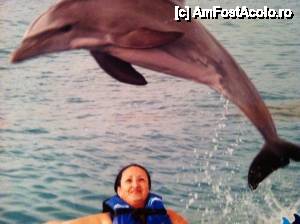 [P14] Cu delfinii in oceanul Atlantic. O experienta incredibila!!!  » foto by eduardradupaul*
 - 
<span class="allrVoted glyphicon glyphicon-heart hidden" id="av410473"></span>
<a class="m-l-10 hidden" id="sv410473" onclick="voting_Foto_DelVot(,410473,6729)" role="button">șterge vot <span class="glyphicon glyphicon-remove"></span></a>
<a id="v9410473" class=" c-red"  onclick="voting_Foto_SetVot(410473)" role="button"><span class="glyphicon glyphicon-heart-empty"></span> <b>LIKE</b> = Votează poza</a> <img class="hidden"  id="f410473W9" src="/imagini/loader.gif" border="0" /><span class="AjErrMes hidden" id="e410473ErM"></span>