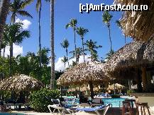 [P08] La bar la piscina preferata » foto by eduardradupaul*
 - 
<span class="allrVoted glyphicon glyphicon-heart hidden" id="av108485"></span>
<a class="m-l-10 hidden" id="sv108485" onclick="voting_Foto_DelVot(,108485,6729)" role="button">șterge vot <span class="glyphicon glyphicon-remove"></span></a>
<a id="v9108485" class=" c-red"  onclick="voting_Foto_SetVot(108485)" role="button"><span class="glyphicon glyphicon-heart-empty"></span> <b>LIKE</b> = Votează poza</a> <img class="hidden"  id="f108485W9" src="/imagini/loader.gif" border="0" /><span class="AjErrMes hidden" id="e108485ErM"></span>