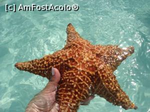 [P10] Alte două săptămâni în Paradis - steluţa mea de mare » foto by nicole33
 - 
<span class="allrVoted glyphicon glyphicon-heart hidden" id="av1044881"></span>
<a class="m-l-10 hidden" id="sv1044881" onclick="voting_Foto_DelVot(,1044881,6729)" role="button">șterge vot <span class="glyphicon glyphicon-remove"></span></a>
<a id="v91044881" class=" c-red"  onclick="voting_Foto_SetVot(1044881)" role="button"><span class="glyphicon glyphicon-heart-empty"></span> <b>LIKE</b> = Votează poza</a> <img class="hidden"  id="f1044881W9" src="/imagini/loader.gif" border="0" /><span class="AjErrMes hidden" id="e1044881ErM"></span>