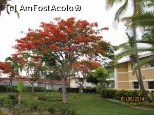 [P12] Alte două săptămâni în Paradis - prin resort » foto by nicole33
 - 
<span class="allrVoted glyphicon glyphicon-heart hidden" id="av1044883"></span>
<a class="m-l-10 hidden" id="sv1044883" onclick="voting_Foto_DelVot(,1044883,6729)" role="button">șterge vot <span class="glyphicon glyphicon-remove"></span></a>
<a id="v91044883" class=" c-red"  onclick="voting_Foto_SetVot(1044883)" role="button"><span class="glyphicon glyphicon-heart-empty"></span> <b>LIKE</b> = Votează poza</a> <img class="hidden"  id="f1044883W9" src="/imagini/loader.gif" border="0" /><span class="AjErrMes hidden" id="e1044883ErM"></span>