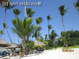 [P46] Alte două săptămâni în Paradis - plaja cu umbrele de stuf şi cocotieri » foto by nicole33
 - 
<span class="allrVoted glyphicon glyphicon-heart hidden" id="av1044946"></span>
<a class="m-l-10 hidden" id="sv1044946" onclick="voting_Foto_DelVot(,1044946,6729)" role="button">șterge vot <span class="glyphicon glyphicon-remove"></span></a>
<a id="v91044946" class=" c-red"  onclick="voting_Foto_SetVot(1044946)" role="button"><span class="glyphicon glyphicon-heart-empty"></span> <b>LIKE</b> = Votează poza</a> <img class="hidden"  id="f1044946W9" src="/imagini/loader.gif" border="0" /><span class="AjErrMes hidden" id="e1044946ErM"></span>