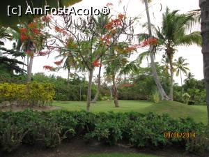 [P92] Alte două săptămâni în Paradis - prin resort » foto by nicole33
 - 
<span class="allrVoted glyphicon glyphicon-heart hidden" id="av1044995"></span>
<a class="m-l-10 hidden" id="sv1044995" onclick="voting_Foto_DelVot(,1044995,6729)" role="button">șterge vot <span class="glyphicon glyphicon-remove"></span></a>
<a id="v91044995" class=" c-red"  onclick="voting_Foto_SetVot(1044995)" role="button"><span class="glyphicon glyphicon-heart-empty"></span> <b>LIKE</b> = Votează poza</a> <img class="hidden"  id="f1044995W9" src="/imagini/loader.gif" border="0" /><span class="AjErrMes hidden" id="e1044995ErM"></span>