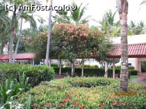 [P93] Alte două săptămâni în Paradis - prin resort » foto by nicole33
 - 
<span class="allrVoted glyphicon glyphicon-heart hidden" id="av1044996"></span>
<a class="m-l-10 hidden" id="sv1044996" onclick="voting_Foto_DelVot(,1044996,6729)" role="button">șterge vot <span class="glyphicon glyphicon-remove"></span></a>
<a id="v91044996" class=" c-red"  onclick="voting_Foto_SetVot(1044996)" role="button"><span class="glyphicon glyphicon-heart-empty"></span> <b>LIKE</b> = Votează poza</a> <img class="hidden"  id="f1044996W9" src="/imagini/loader.gif" border="0" /><span class="AjErrMes hidden" id="e1044996ErM"></span>