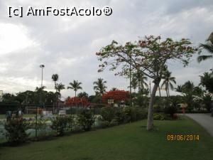 [P94] Alte două săptămâni în Paradis - prin resort » foto by nicole33
 - 
<span class="allrVoted glyphicon glyphicon-heart hidden" id="av1044997"></span>
<a class="m-l-10 hidden" id="sv1044997" onclick="voting_Foto_DelVot(,1044997,6729)" role="button">șterge vot <span class="glyphicon glyphicon-remove"></span></a>
<a id="v91044997" class=" c-red"  onclick="voting_Foto_SetVot(1044997)" role="button"><span class="glyphicon glyphicon-heart-empty"></span> <b>LIKE</b> = Votează poza</a> <img class="hidden"  id="f1044997W9" src="/imagini/loader.gif" border="0" /><span class="AjErrMes hidden" id="e1044997ErM"></span>