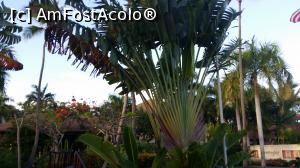 [P95] Alte două săptămâni în Paradis - prin resort » foto by nicole33
 - 
<span class="allrVoted glyphicon glyphicon-heart hidden" id="av1044998"></span>
<a class="m-l-10 hidden" id="sv1044998" onclick="voting_Foto_DelVot(,1044998,6729)" role="button">șterge vot <span class="glyphicon glyphicon-remove"></span></a>
<a id="v91044998" class=" c-red"  onclick="voting_Foto_SetVot(1044998)" role="button"><span class="glyphicon glyphicon-heart-empty"></span> <b>LIKE</b> = Votează poza</a> <img class="hidden"  id="f1044998W9" src="/imagini/loader.gif" border="0" /><span class="AjErrMes hidden" id="e1044998ErM"></span>