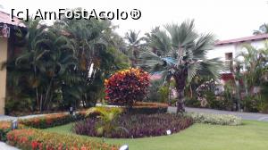 [P97] Alte două săptămâni în Paradis - prin resort » foto by nicole33
 - 
<span class="allrVoted glyphicon glyphicon-heart hidden" id="av1045000"></span>
<a class="m-l-10 hidden" id="sv1045000" onclick="voting_Foto_DelVot(,1045000,6729)" role="button">șterge vot <span class="glyphicon glyphicon-remove"></span></a>
<a id="v91045000" class=" c-red"  onclick="voting_Foto_SetVot(1045000)" role="button"><span class="glyphicon glyphicon-heart-empty"></span> <b>LIKE</b> = Votează poza</a> <img class="hidden"  id="f1045000W9" src="/imagini/loader.gif" border="0" /><span class="AjErrMes hidden" id="e1045000ErM"></span>