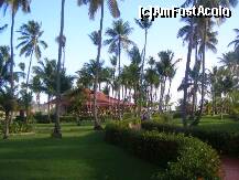 [P01]  -- <small>// FĂRĂ DESCRIERE</small> » foto by AngelinaJ.*
 - 
<span class="allrVoted glyphicon glyphicon-heart hidden" id="av178959"></span>
<a class="m-l-10 hidden" id="sv178959" onclick="voting_Foto_DelVot(,178959,6729)" role="button">șterge vot <span class="glyphicon glyphicon-remove"></span></a>
<a id="v9178959" class=" c-red"  onclick="voting_Foto_SetVot(178959)" role="button"><span class="glyphicon glyphicon-heart-empty"></span> <b>LIKE</b> = Votează poza</a> <img class="hidden"  id="f178959W9" src="/imagini/loader.gif" border="0" /><span class="AjErrMes hidden" id="e178959ErM"></span>