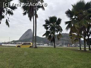 [P23] În Rio în trafic,în fundal Sugarloaf » foto by AZE
 - 
<span class="allrVoted glyphicon glyphicon-heart hidden" id="av1525152"></span>
<a class="m-l-10 hidden" id="sv1525152" onclick="voting_Foto_DelVot(,1525152,6730)" role="button">șterge vot <span class="glyphicon glyphicon-remove"></span></a>
<a id="v91525152" class=" c-red"  onclick="voting_Foto_SetVot(1525152)" role="button"><span class="glyphicon glyphicon-heart-empty"></span> <b>LIKE</b> = Votează poza</a> <img class="hidden"  id="f1525152W9" src="/imagini/loader.gif" border="0" /><span class="AjErrMes hidden" id="e1525152ErM"></span>