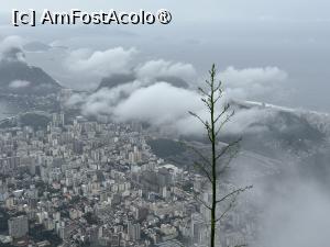 [P47] Rio de Janeiro » foto by AZE
 - 
<span class="allrVoted glyphicon glyphicon-heart hidden" id="av1525176"></span>
<a class="m-l-10 hidden" id="sv1525176" onclick="voting_Foto_DelVot(,1525176,6730)" role="button">șterge vot <span class="glyphicon glyphicon-remove"></span></a>
<a id="v91525176" class=" c-red"  onclick="voting_Foto_SetVot(1525176)" role="button"><span class="glyphicon glyphicon-heart-empty"></span> <b>LIKE</b> = Votează poza</a> <img class="hidden"  id="f1525176W9" src="/imagini/loader.gif" border="0" /><span class="AjErrMes hidden" id="e1525176ErM"></span>