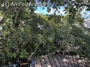 [P33] Vegetație » foto by AZE
 - 
<span class="allrVoted glyphicon glyphicon-heart hidden" id="av1525811"></span>
<a class="m-l-10 hidden" id="sv1525811" onclick="voting_Foto_DelVot(,1525811,6730)" role="button">șterge vot <span class="glyphicon glyphicon-remove"></span></a>
<a id="v91525811" class=" c-red"  onclick="voting_Foto_SetVot(1525811)" role="button"><span class="glyphicon glyphicon-heart-empty"></span> <b>LIKE</b> = Votează poza</a> <img class="hidden"  id="f1525811W9" src="/imagini/loader.gif" border="0" /><span class="AjErrMes hidden" id="e1525811ErM"></span>