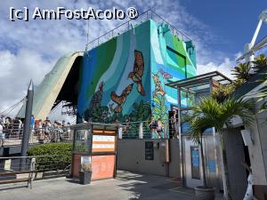 [P35] Sus la Sugarloaf » foto by AZE
 - 
<span class="allrVoted glyphicon glyphicon-heart hidden" id="av1525813"></span>
<a class="m-l-10 hidden" id="sv1525813" onclick="voting_Foto_DelVot(,1525813,6730)" role="button">șterge vot <span class="glyphicon glyphicon-remove"></span></a>
<a id="v91525813" class=" c-red"  onclick="voting_Foto_SetVot(1525813)" role="button"><span class="glyphicon glyphicon-heart-empty"></span> <b>LIKE</b> = Votează poza</a> <img class="hidden"  id="f1525813W9" src="/imagini/loader.gif" border="0" /><span class="AjErrMes hidden" id="e1525813ErM"></span>