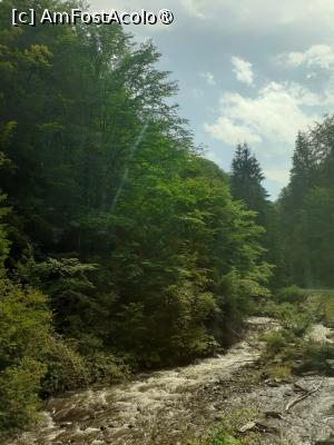 [P01] Cheile Jietului » foto by Michi
 - 
<span class="allrVoted glyphicon glyphicon-heart hidden" id="av1502452"></span>
<a class="m-l-10 hidden" id="sv1502452" onclick="voting_Foto_DelVot(,1502452,6743)" role="button">șterge vot <span class="glyphicon glyphicon-remove"></span></a>
<a id="v91502452" class=" c-red"  onclick="voting_Foto_SetVot(1502452)" role="button"><span class="glyphicon glyphicon-heart-empty"></span> <b>LIKE</b> = Votează poza</a> <img class="hidden"  id="f1502452W9" src="/imagini/loader.gif" border="0" /><span class="AjErrMes hidden" id="e1502452ErM"></span>