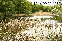 [P19] Lacul poeziilor lui Eminescu » foto by liviadavidescu
 - 
<span class="allrVoted glyphicon glyphicon-heart hidden" id="av215701"></span>
<a class="m-l-10 hidden" id="sv215701" onclick="voting_Foto_DelVot(,215701,6748)" role="button">șterge vot <span class="glyphicon glyphicon-remove"></span></a>
<a id="v9215701" class=" c-red"  onclick="voting_Foto_SetVot(215701)" role="button"><span class="glyphicon glyphicon-heart-empty"></span> <b>LIKE</b> = Votează poza</a> <img class="hidden"  id="f215701W9" src="/imagini/loader.gif" border="0" /><span class="AjErrMes hidden" id="e215701ErM"></span>