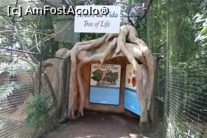 [P04] Foz do Iguaçu, Parcul Păsărilor, Arborele vieții ne amintește că oamenii au nevoie de natură » foto by mprofeanu
 - 
<span class="allrVoted glyphicon glyphicon-heart hidden" id="av1158734"></span>
<a class="m-l-10 hidden" id="sv1158734" onclick="voting_Foto_DelVot(,1158734,6751)" role="button">șterge vot <span class="glyphicon glyphicon-remove"></span></a>
<a id="v91158734" class=" c-red"  onclick="voting_Foto_SetVot(1158734)" role="button"><span class="glyphicon glyphicon-heart-empty"></span> <b>LIKE</b> = Votează poza</a> <img class="hidden"  id="f1158734W9" src="/imagini/loader.gif" border="0" /><span class="AjErrMes hidden" id="e1158734ErM"></span>