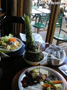 [P12] la masa de pranz si nelipsita caipirinia servit in caja unui ananas » foto by grecudoina
 - 
<span class="allrVoted glyphicon glyphicon-heart hidden" id="av292378"></span>
<a class="m-l-10 hidden" id="sv292378" onclick="voting_Foto_DelVot(,292378,6751)" role="button">șterge vot <span class="glyphicon glyphicon-remove"></span></a>
<a id="v9292378" class=" c-red"  onclick="voting_Foto_SetVot(292378)" role="button"><span class="glyphicon glyphicon-heart-empty"></span> <b>LIKE</b> = Votează poza</a> <img class="hidden"  id="f292378W9" src="/imagini/loader.gif" border="0" /><span class="AjErrMes hidden" id="e292378ErM"></span>