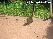 [P25] un furnicar care manca un biscuite primit de la un turist » foto by grecudoina
 - 
<span class="allrVoted glyphicon glyphicon-heart hidden" id="av292391"></span>
<a class="m-l-10 hidden" id="sv292391" onclick="voting_Foto_DelVot(,292391,6751)" role="button">șterge vot <span class="glyphicon glyphicon-remove"></span></a>
<a id="v9292391" class=" c-red"  onclick="voting_Foto_SetVot(292391)" role="button"><span class="glyphicon glyphicon-heart-empty"></span> <b>LIKE</b> = Votează poza</a> <img class="hidden"  id="f292391W9" src="/imagini/loader.gif" border="0" /><span class="AjErrMes hidden" id="e292391ErM"></span>