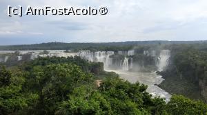 [P11] Cascada Iguacu Brazilia » foto by elenaadina
 - 
<span class="allrVoted glyphicon glyphicon-heart hidden" id="av1517658"></span>
<a class="m-l-10 hidden" id="sv1517658" onclick="voting_Foto_DelVot(,1517658,6751)" role="button">șterge vot <span class="glyphicon glyphicon-remove"></span></a>
<a id="v91517658" class=" c-red"  onclick="voting_Foto_SetVot(1517658)" role="button"><span class="glyphicon glyphicon-heart-empty"></span> <b>LIKE</b> = Votează poza</a> <img class="hidden"  id="f1517658W9" src="/imagini/loader.gif" border="0" /><span class="AjErrMes hidden" id="e1517658ErM"></span>