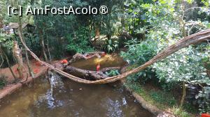 [P22]  -- <small>// FĂRĂ DESCRIERE</small> » foto by elenaadina
 - 
<span class="allrVoted glyphicon glyphicon-heart hidden" id="av1517885"></span>
<a class="m-l-10 hidden" id="sv1517885" onclick="voting_Foto_DelVot(,1517885,6751)" role="button">șterge vot <span class="glyphicon glyphicon-remove"></span></a>
<a id="v91517885" class=" c-red"  onclick="voting_Foto_SetVot(1517885)" role="button"><span class="glyphicon glyphicon-heart-empty"></span> <b>LIKE</b> = Votează poza</a> <img class="hidden"  id="f1517885W9" src="/imagini/loader.gif" border="0" /><span class="AjErrMes hidden" id="e1517885ErM"></span>