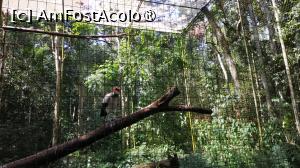 [P27]  -- <small>// FĂRĂ DESCRIERE</small> » foto by elenaadina
 - 
<span class="allrVoted glyphicon glyphicon-heart hidden" id="av1517890"></span>
<a class="m-l-10 hidden" id="sv1517890" onclick="voting_Foto_DelVot(,1517890,6751)" role="button">șterge vot <span class="glyphicon glyphicon-remove"></span></a>
<a id="v91517890" class=" c-red"  onclick="voting_Foto_SetVot(1517890)" role="button"><span class="glyphicon glyphicon-heart-empty"></span> <b>LIKE</b> = Votează poza</a> <img class="hidden"  id="f1517890W9" src="/imagini/loader.gif" border="0" /><span class="AjErrMes hidden" id="e1517890ErM"></span>