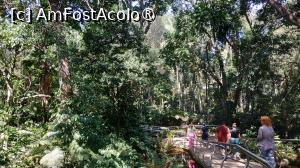 [P35]  -- <small>// FĂRĂ DESCRIERE</small> » foto by elenaadina
 - 
<span class="allrVoted glyphicon glyphicon-heart hidden" id="av1517898"></span>
<a class="m-l-10 hidden" id="sv1517898" onclick="voting_Foto_DelVot(,1517898,6751)" role="button">șterge vot <span class="glyphicon glyphicon-remove"></span></a>
<a id="v91517898" class=" c-red"  onclick="voting_Foto_SetVot(1517898)" role="button"><span class="glyphicon glyphicon-heart-empty"></span> <b>LIKE</b> = Votează poza</a> <img class="hidden"  id="f1517898W9" src="/imagini/loader.gif" border="0" /><span class="AjErrMes hidden" id="e1517898ErM"></span>